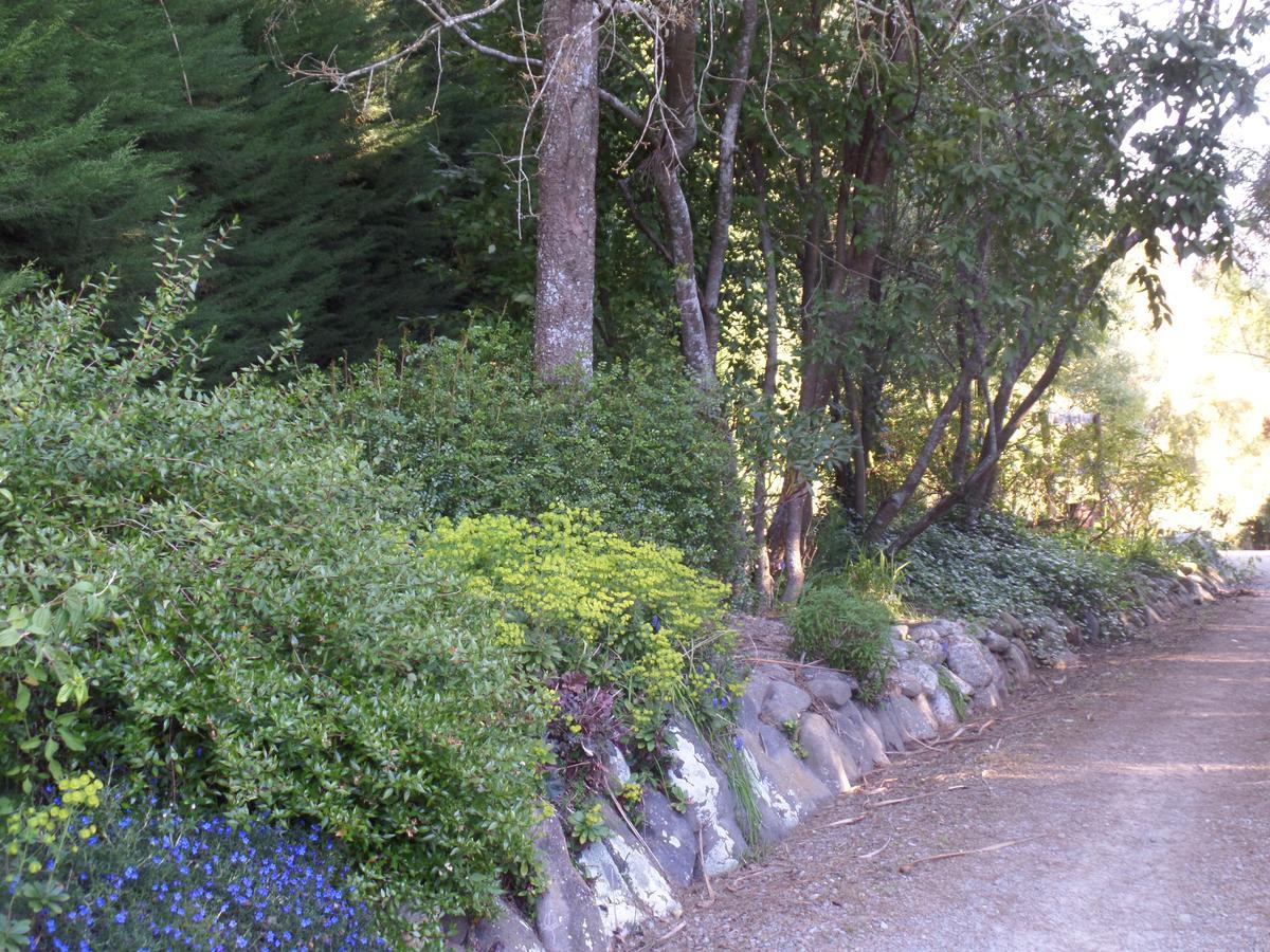 Riverstone House Geraldine Bagian luar foto